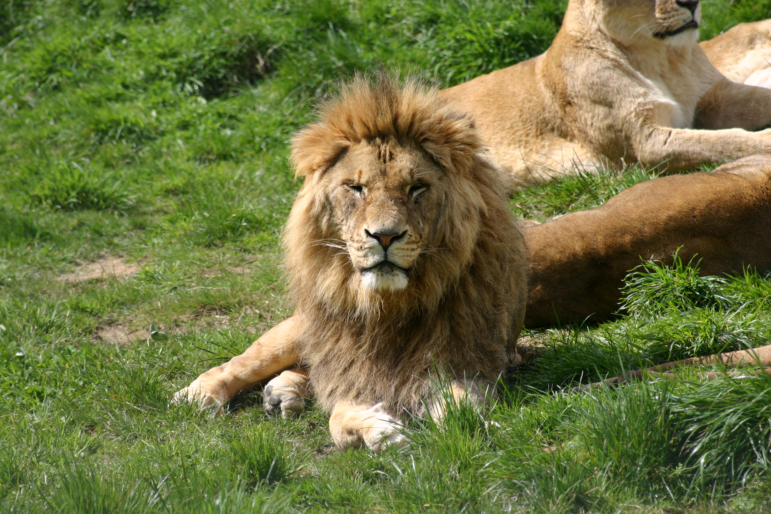 Image Gallery Paradise Valley Springs Wildlife Park